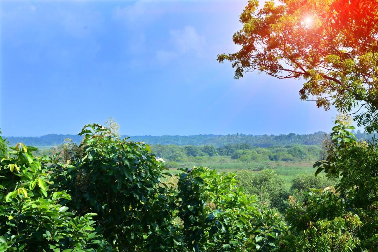 Randu Homestay And Restaurant Tangalle Kültér fotó